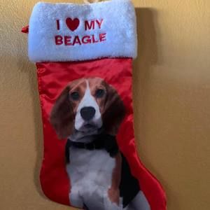 Meet your Posher, Jeanna